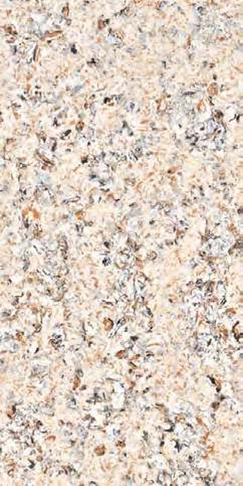 Bylss Brown — Glossy finish, 600 x 1200 mm