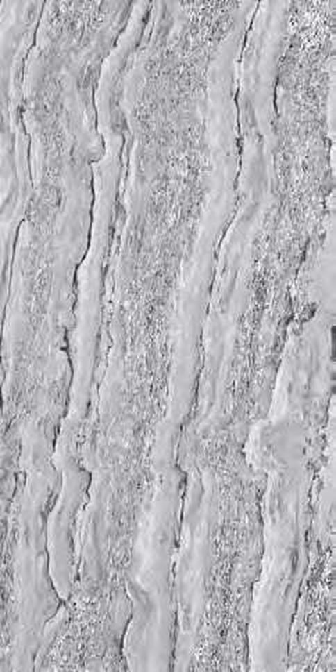Calp Grey — Glossy finish, 600 x 1200 mm