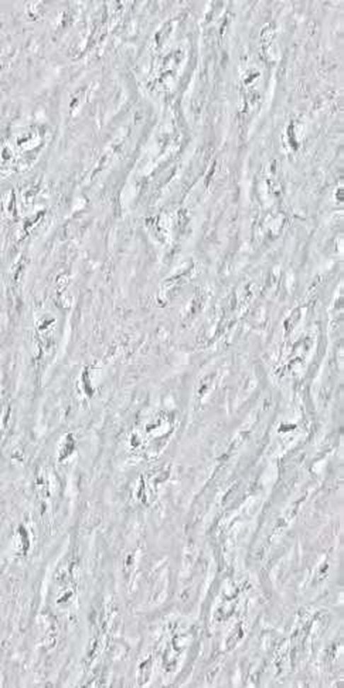 Indic Grey — Glossy finish, 600 x 1200 mm