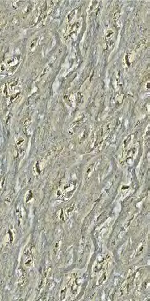 Indic Verde — Glossy finish, 600 x 1200 mm