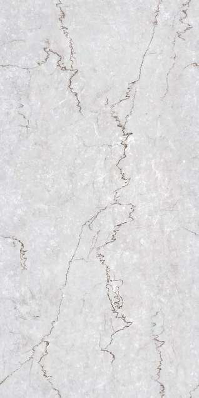 Botochino Grey — Glossy finish, 600 x 1200 mm