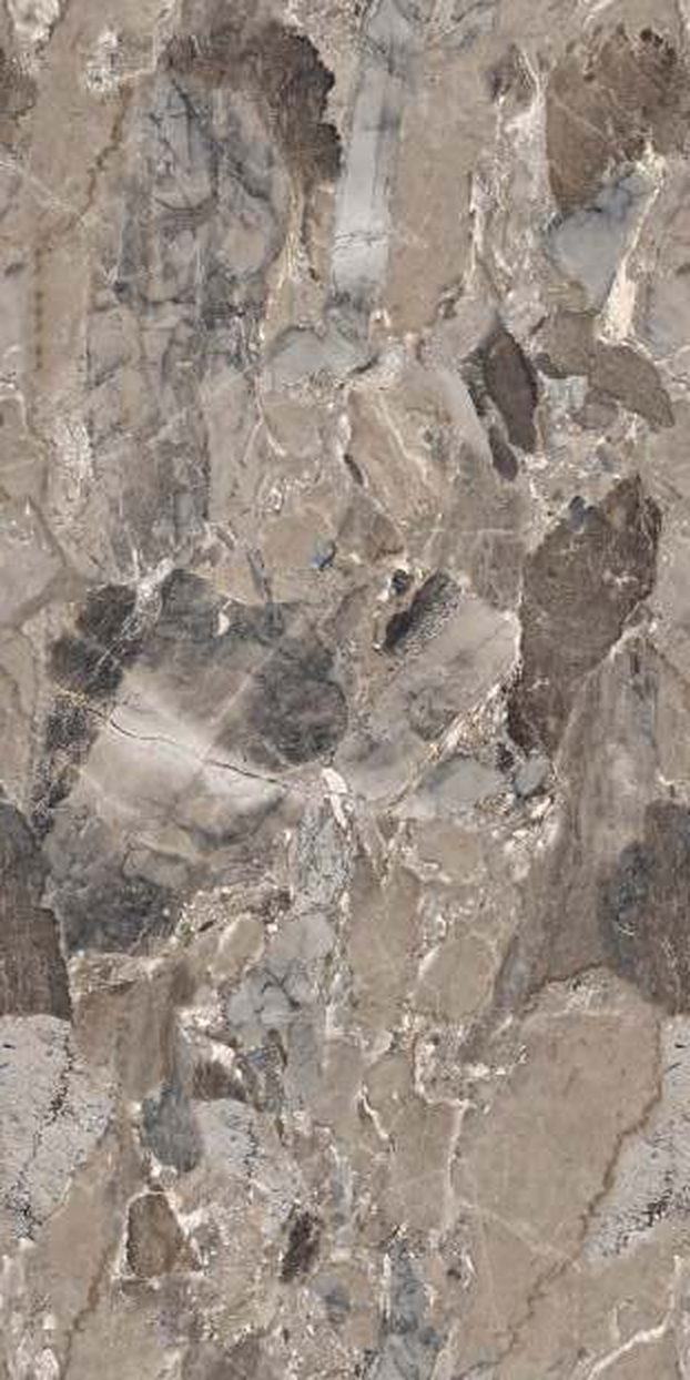 Fossil Choco — Glossy finish, 600 x 1200 mm