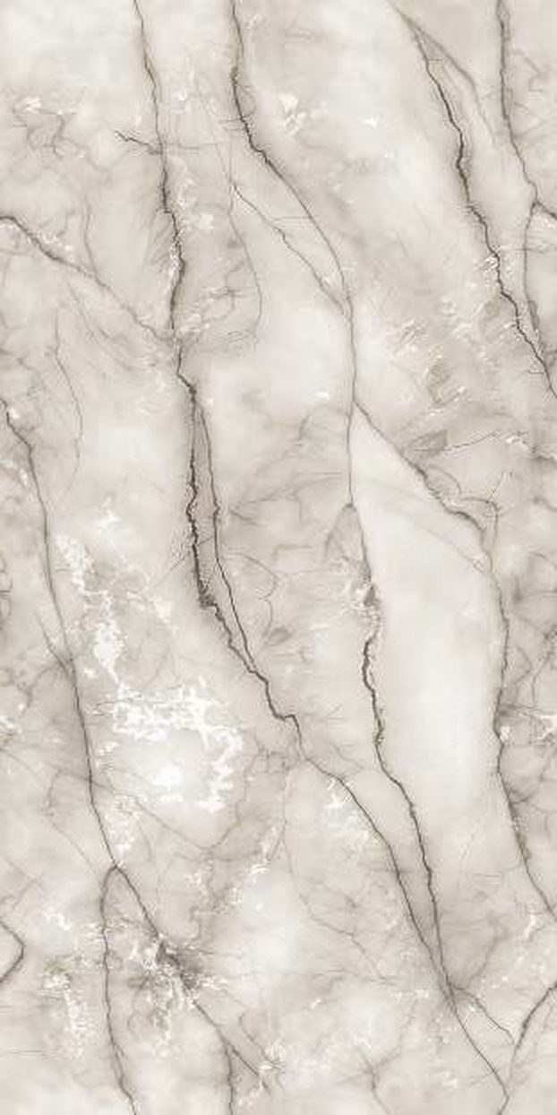 Gs-Vegas Grey — Glossy finish, 600 x 1200 mm