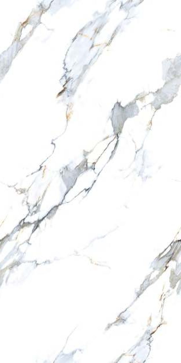 Leroxy White — Glossy finish, 600 x 1200 mm