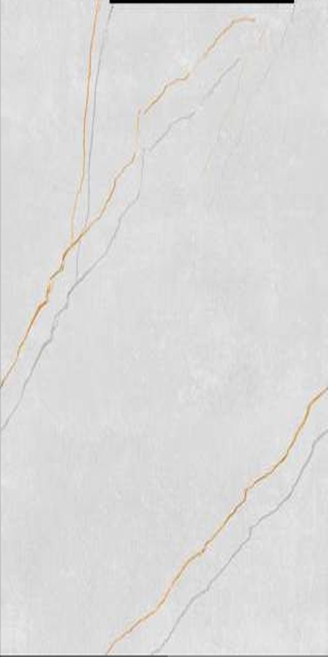 Letcas Grey — Glossy finish, 600 x 1200 mm