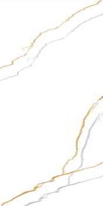 Letcas White — Glossy finish, 600 x 1200 mm