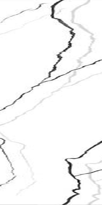 Negro White — Glossy finish, 600 x 1200 mm