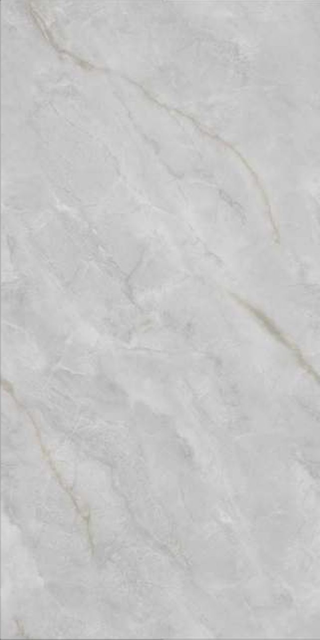 Nerina Grey — Glossy finish, 600 x 1200 mm