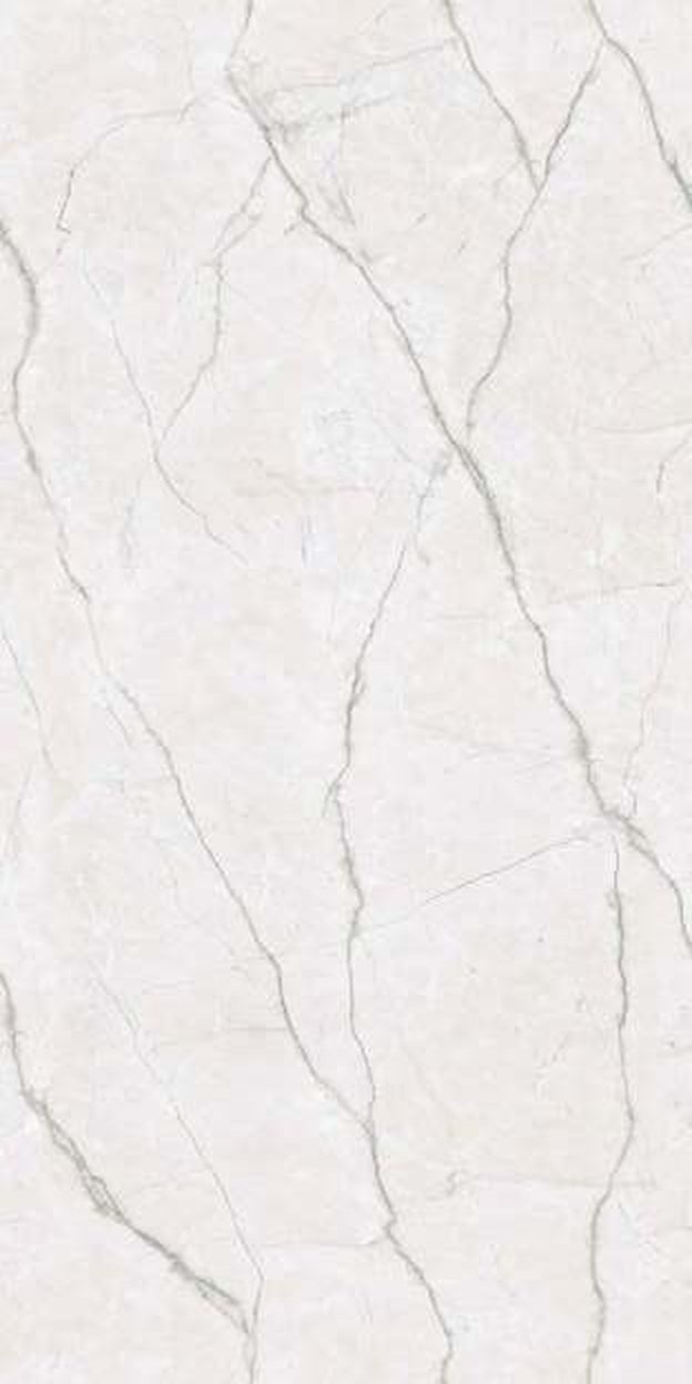 Ritzy Grey — Glossy finish, 600 x 1200 mm