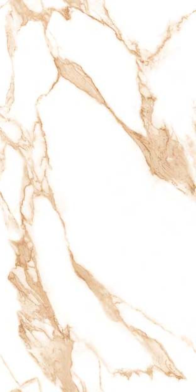 Silvana Brown — Glossy finish, 600 x 1200 mm