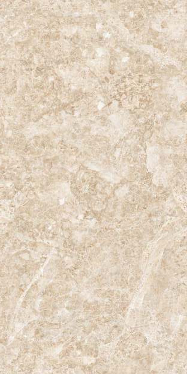 Stellar Ivory — Glossy finish, 600 x 1200 mm