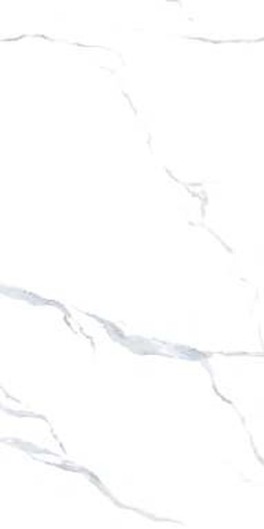 Antiqua Gris — Glossy finish, 600 x 1200 mm