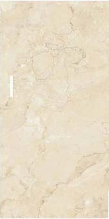 Arena Bg — Glossy finish, 600 x 1200 mm