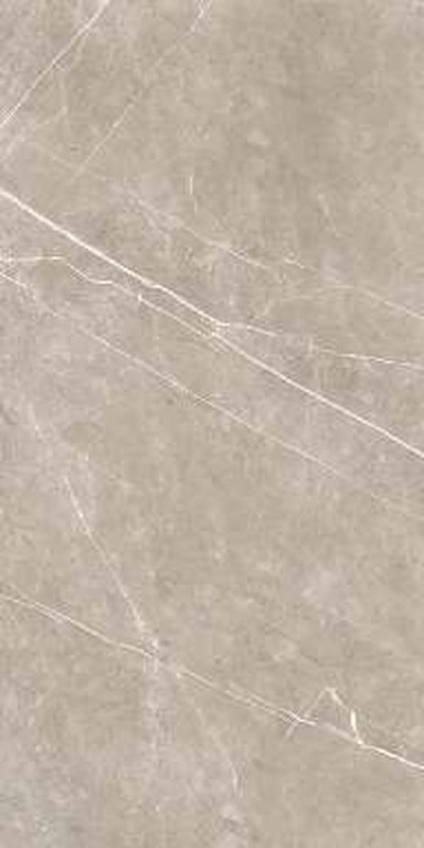 Brillo Mud — Glossy finish, 600 x 1200 mm