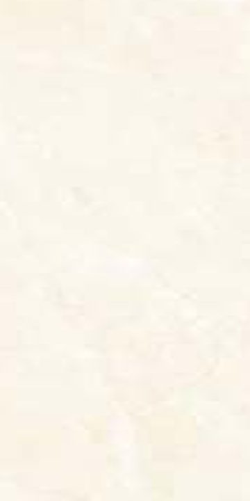 Raayan Ivory — Glossy finish, 600 x 1200 mm