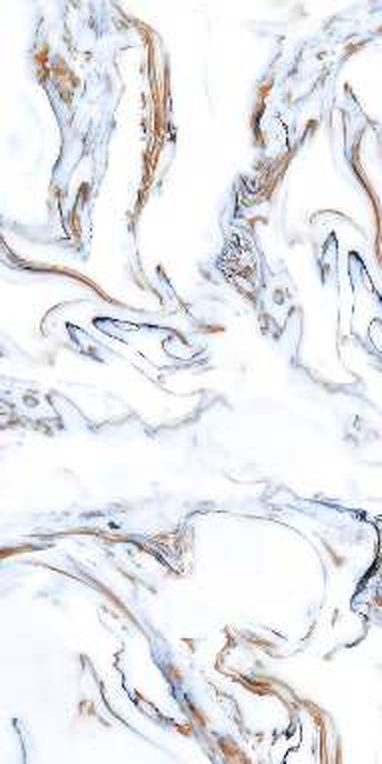 Rivera Blue — Glossy finish, 600 x 1200 mm