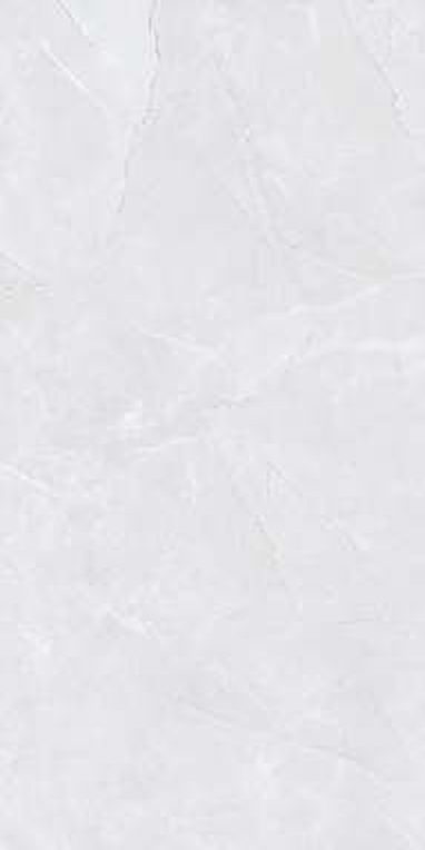 Rossa Grey Light — Glossy finish, 600 x 1200 mm