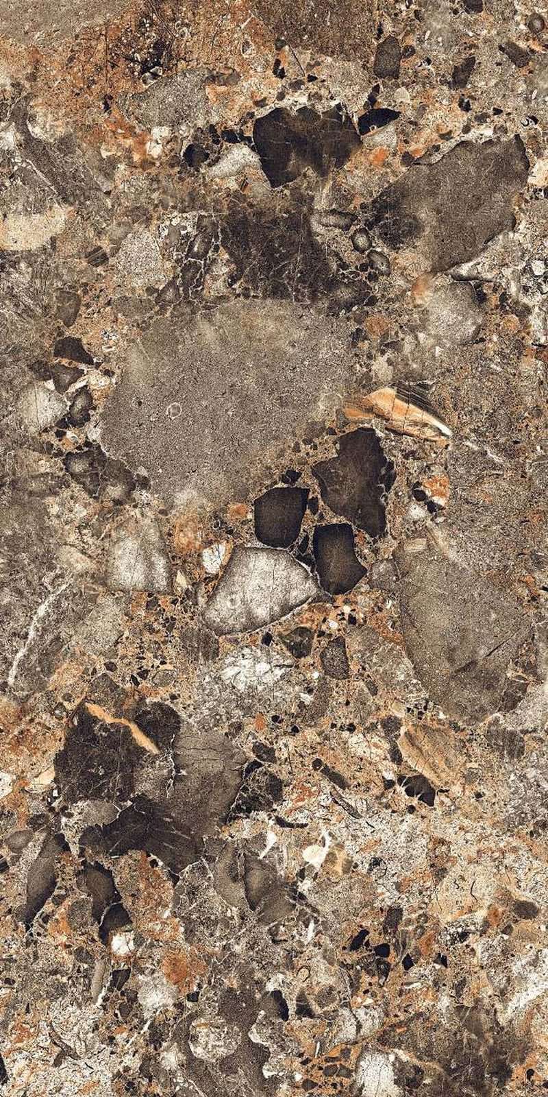Bravestone Brown — High Gloss finish, 600 x 1200 mm