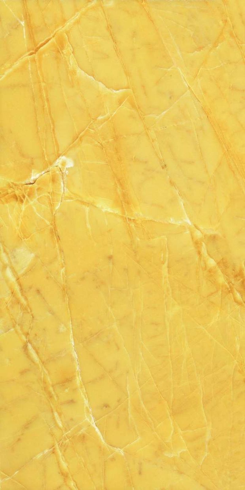 Tulip Cota — High Gloss finish, 600 x 1200 mm