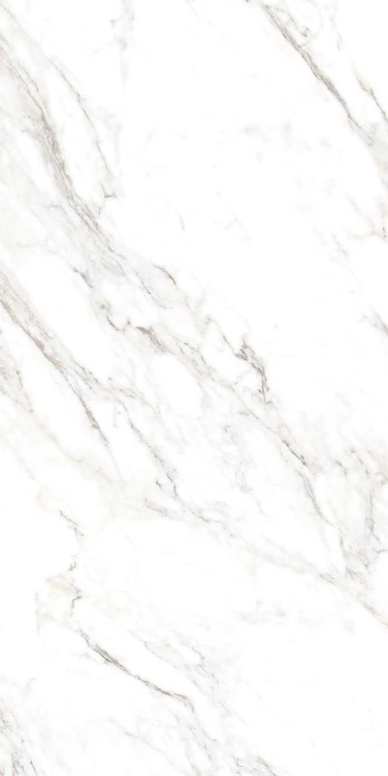 Arbescato Brown — Glossy finish, 600 x 1200 mm