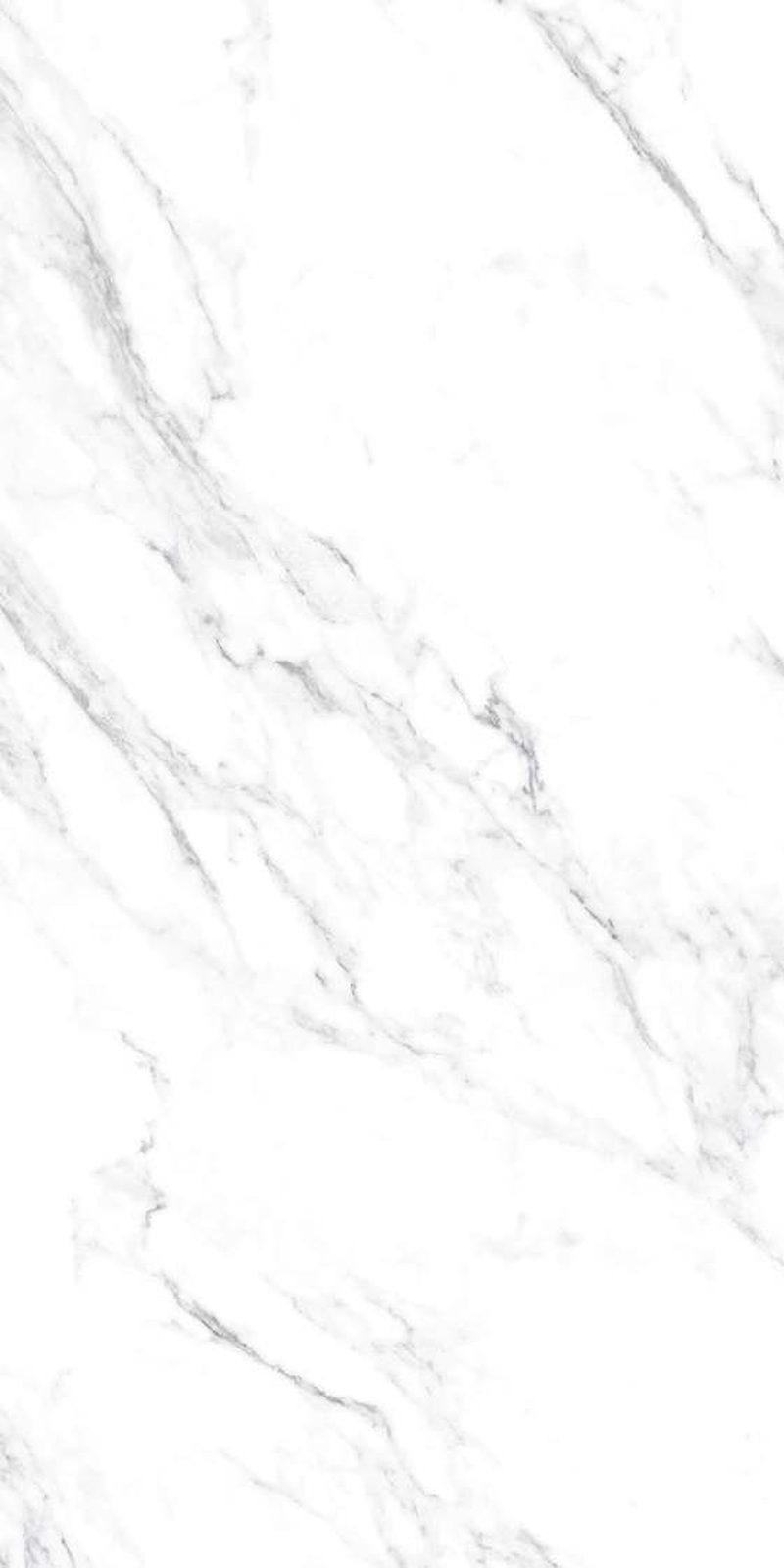 Arbescato Grey — Glossy finish, 600 x 1200 mm