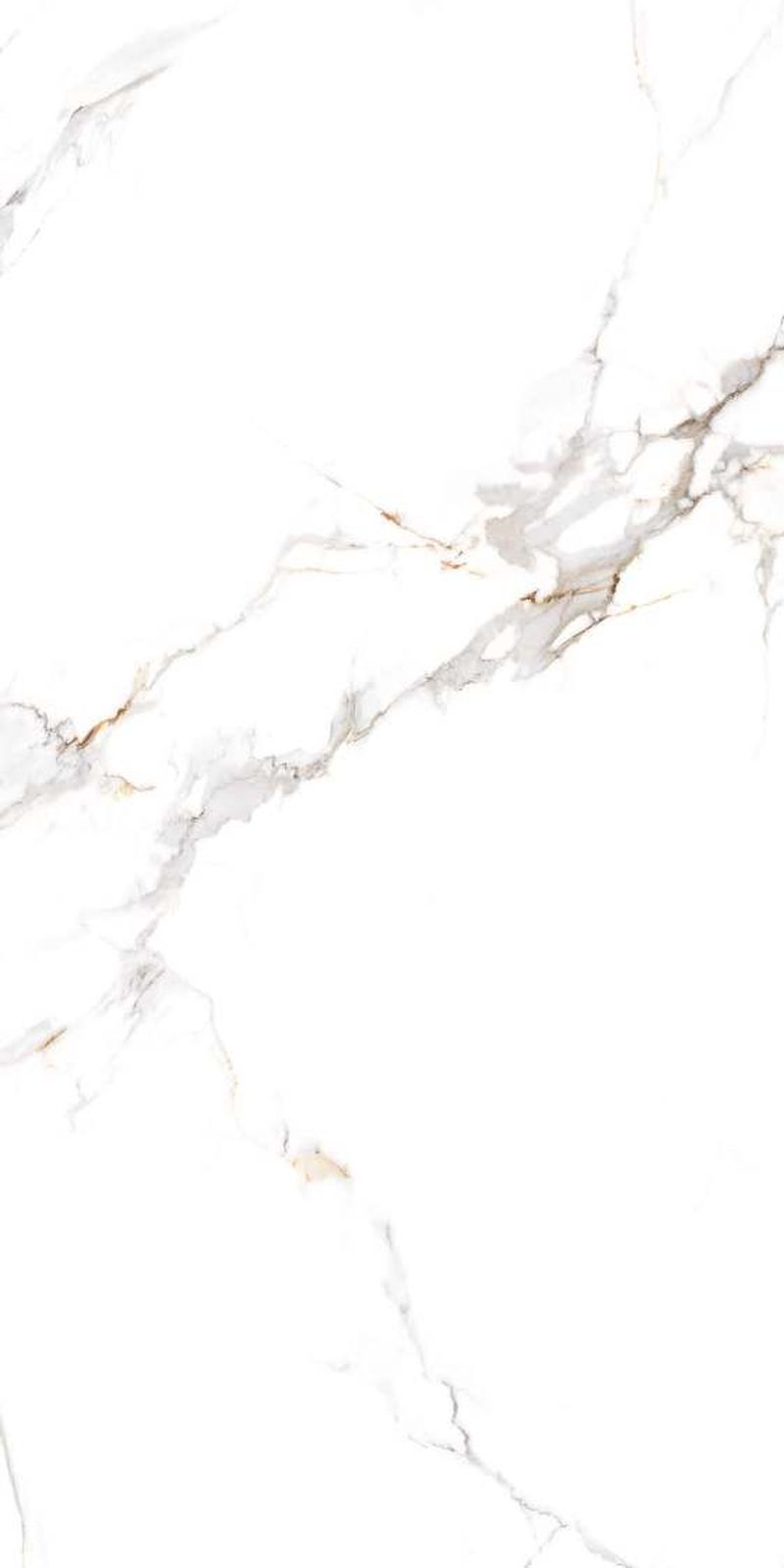 Ascona Natural — Glossy finish, 600 x 1200 mm