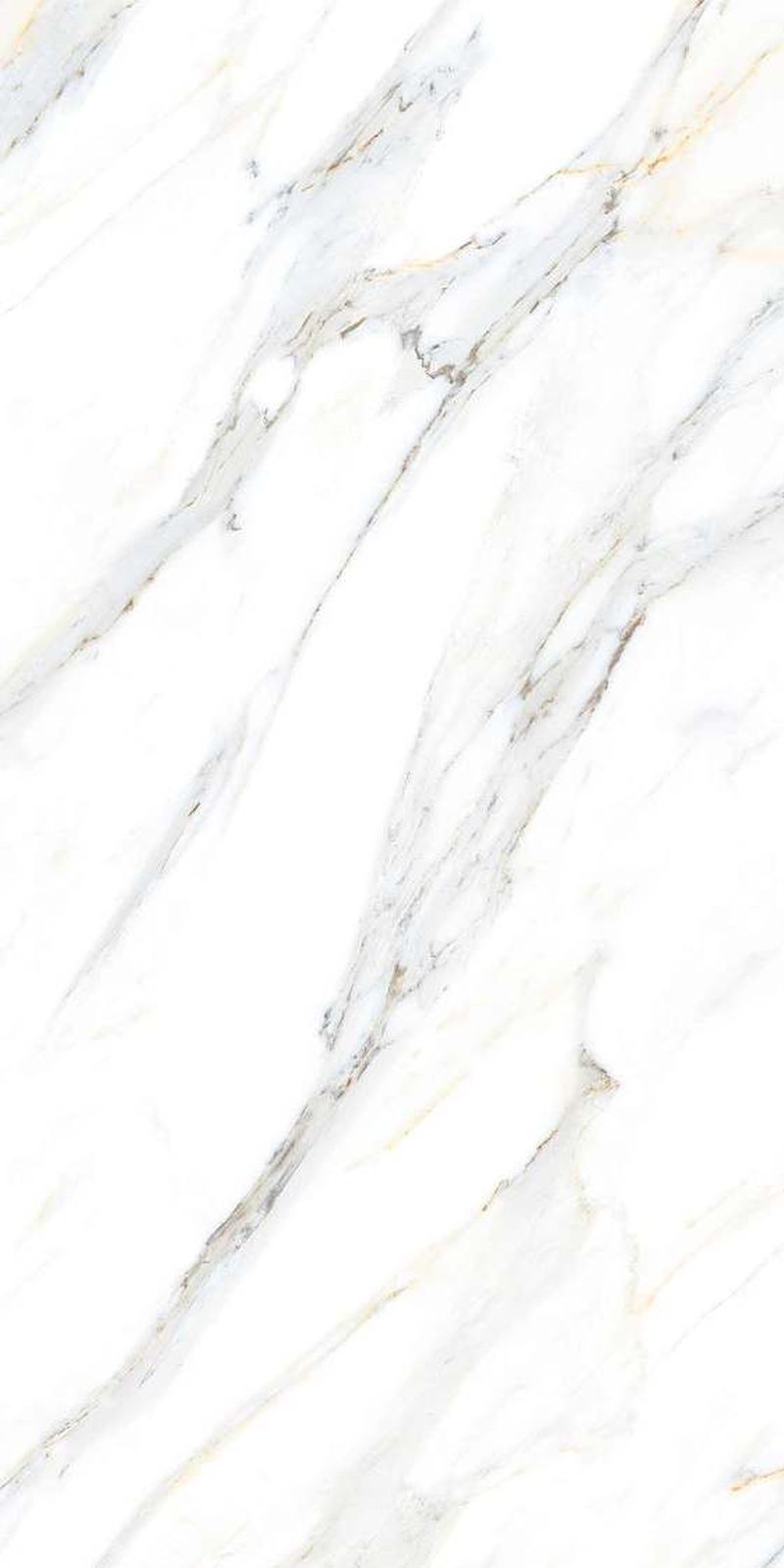 Calcatta Gold — Glossy finish, 600 x 1200 mm