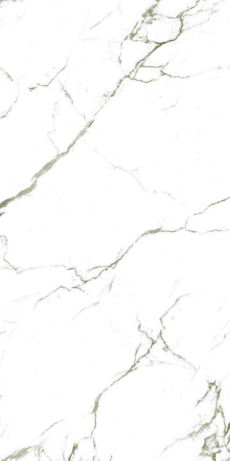 Calvin Statuario — Glossy finish, 600 x 1200 mm