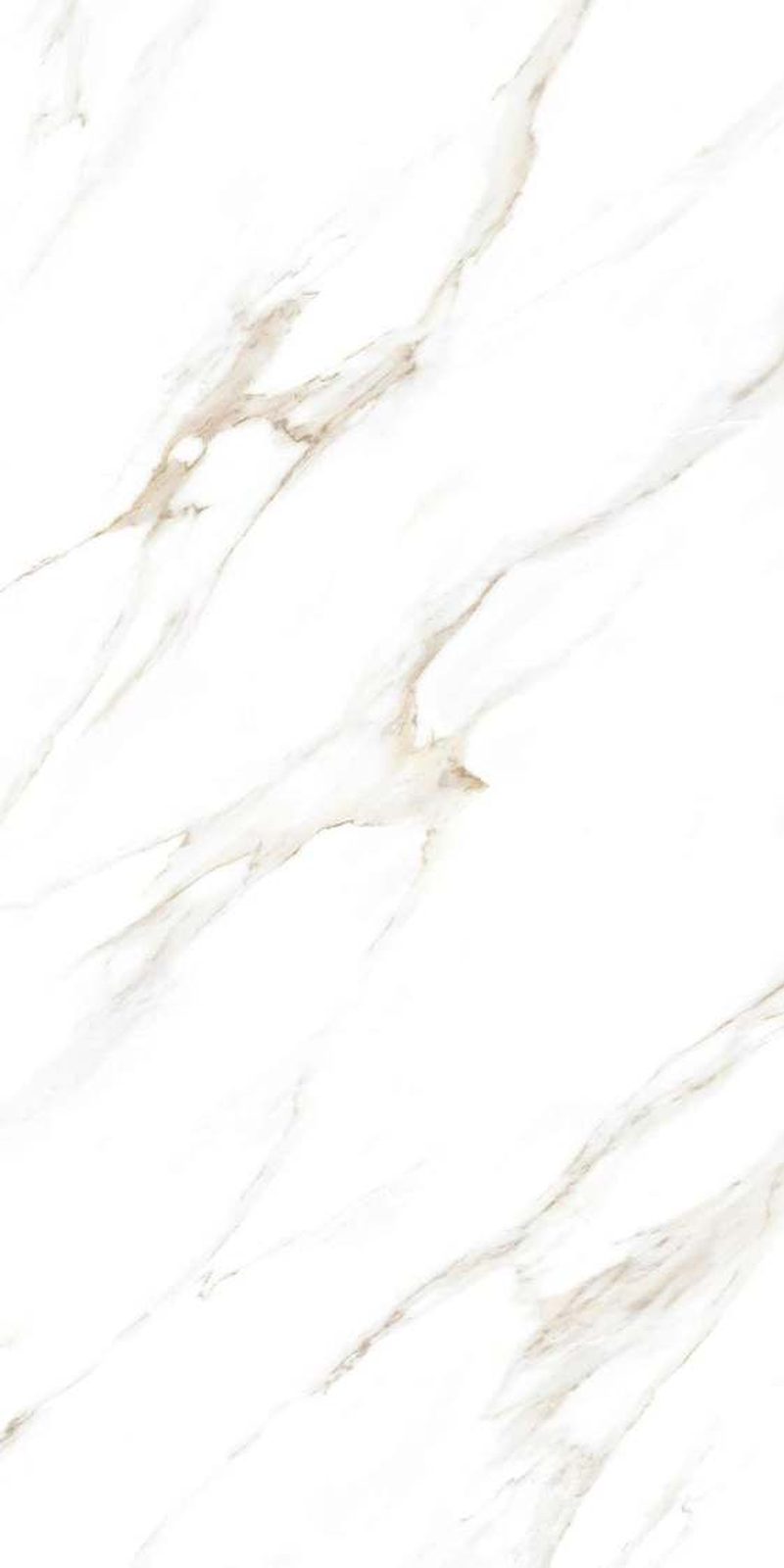 Carrara Gold — Glossy finish, 600 x 1200 mm