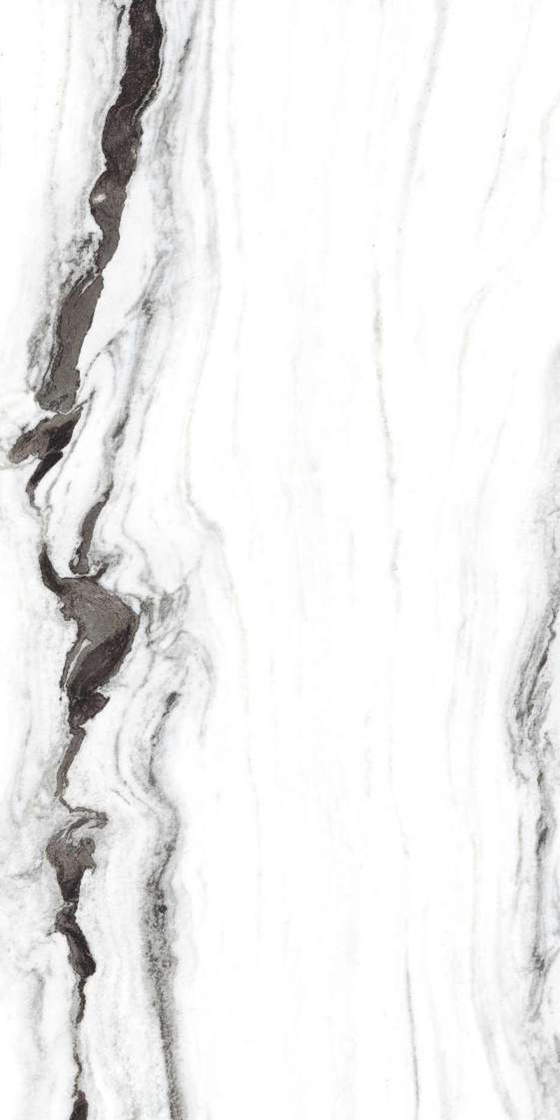 French White — Glossy finish, 600 x 1200 mm