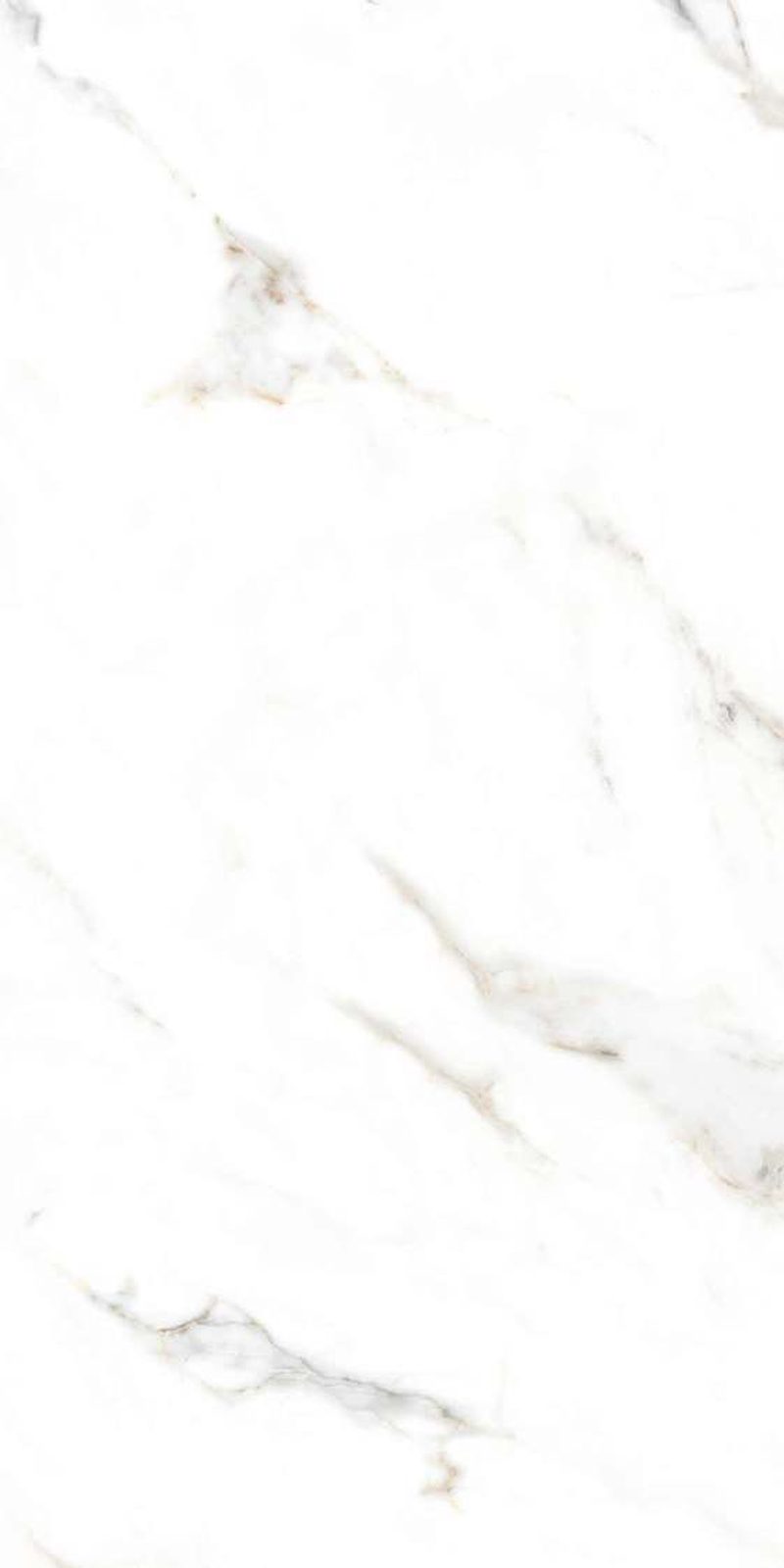 Lux Statuario — Glossy finish, 600 x 1200 mm