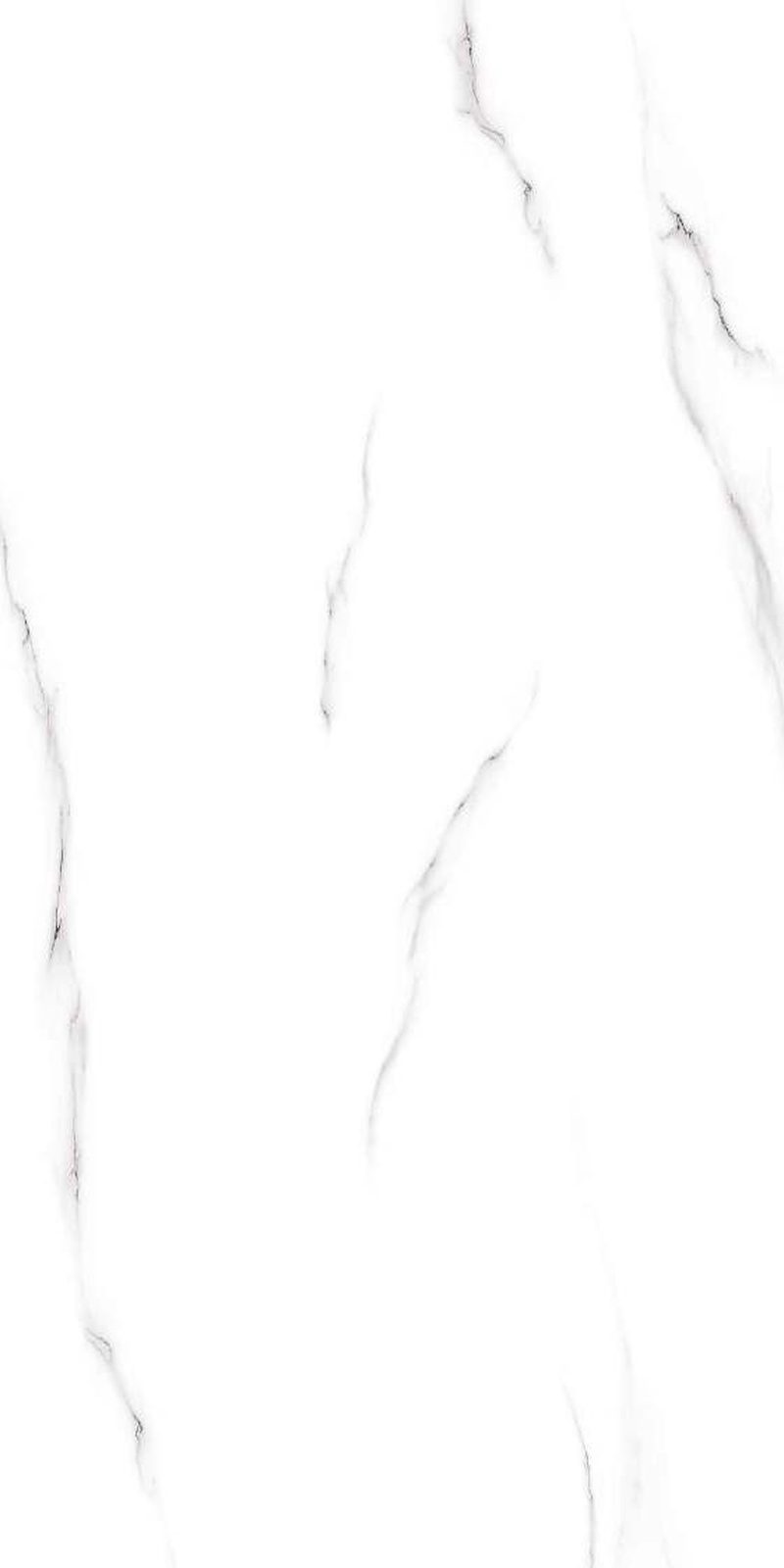 Okley Grey — Glossy finish, 600 x 1200 mm