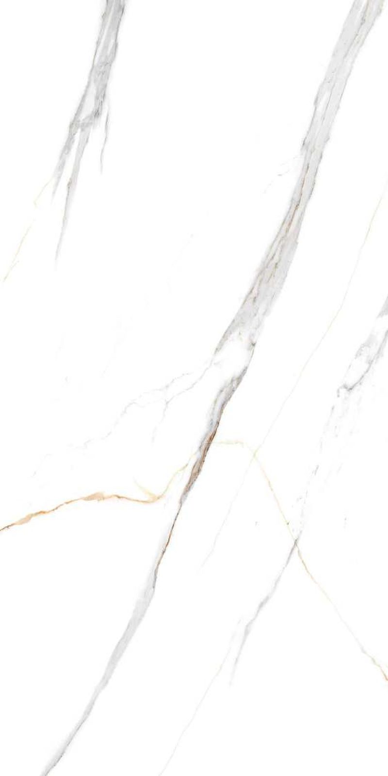 Roman Statuario — Glossy finish, 600 x 1200 mm