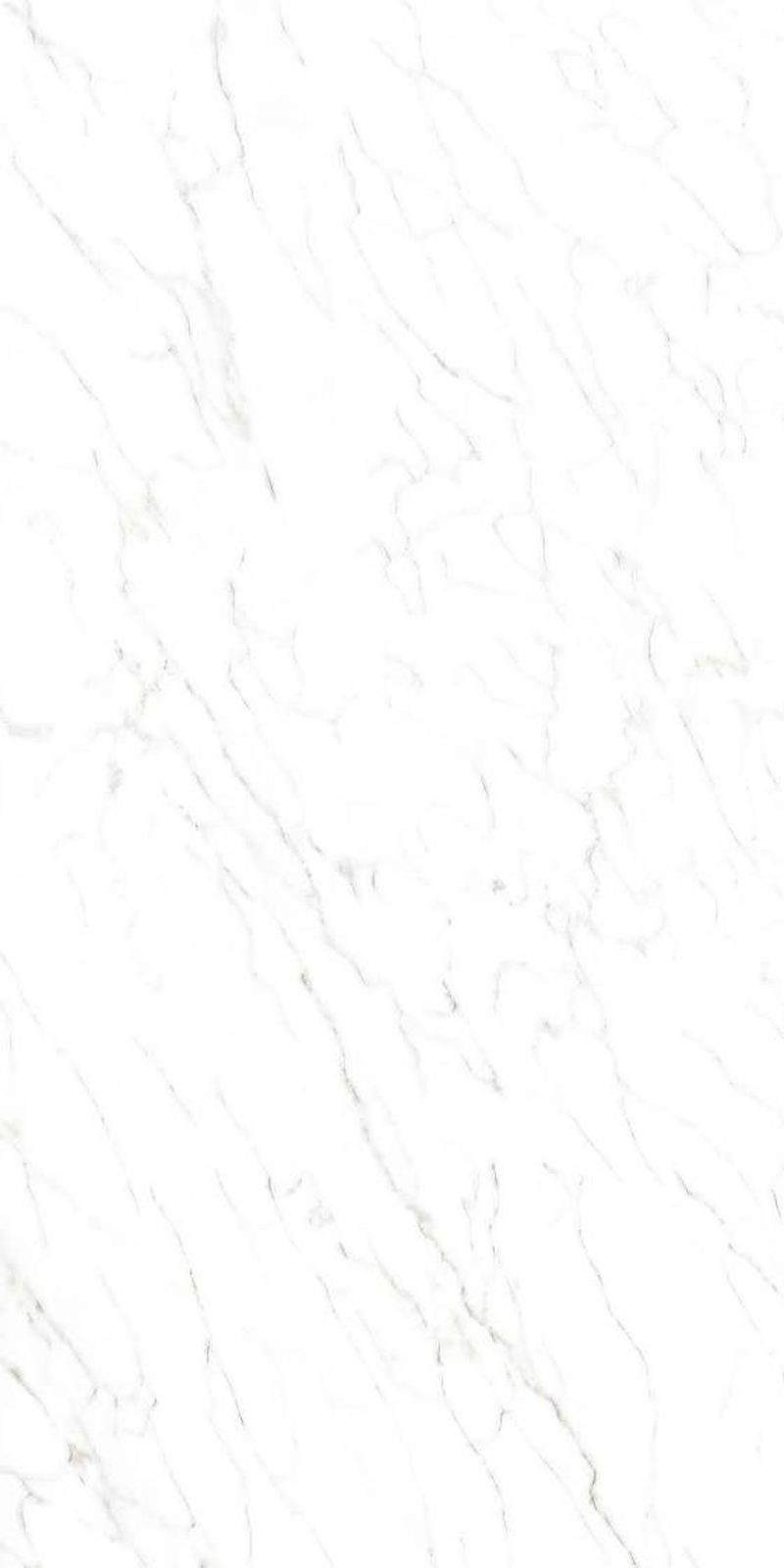 Spider Statuario — Glossy finish, 600 x 1200 mm