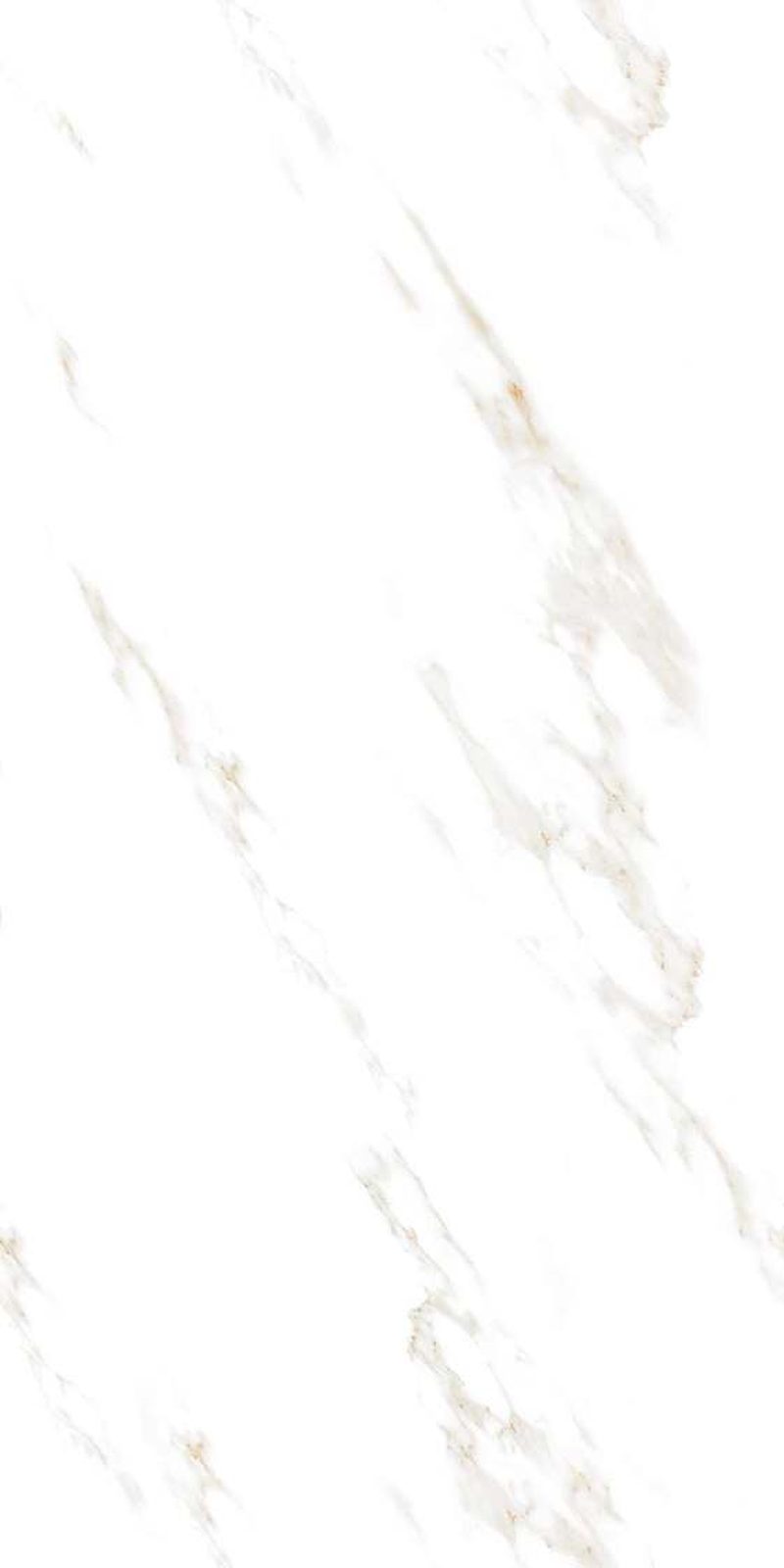 Statuario Storm — Glossy finish, 600 x 1200 mm