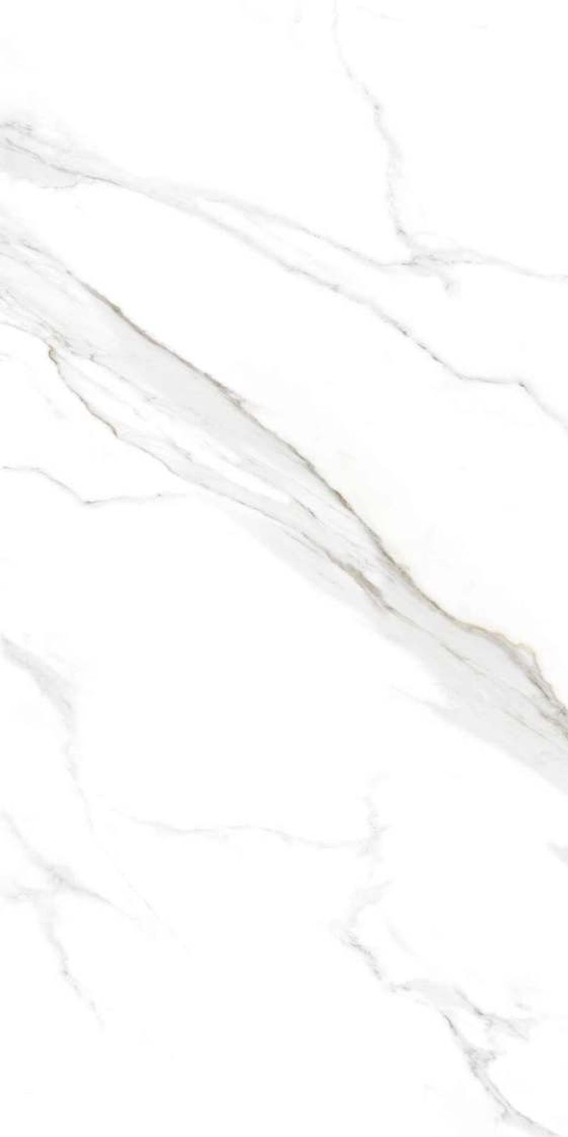 Ultimo Statuario — Glossy finish, 600 x 1200 mm