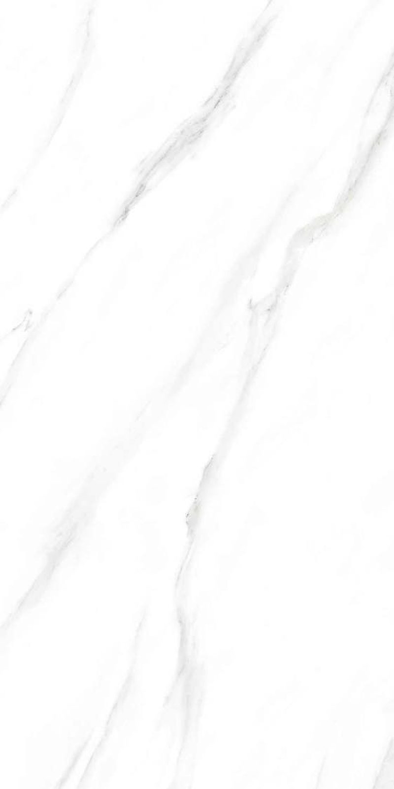 Versa Statuario — Glossy finish, 600 x 1200 mm