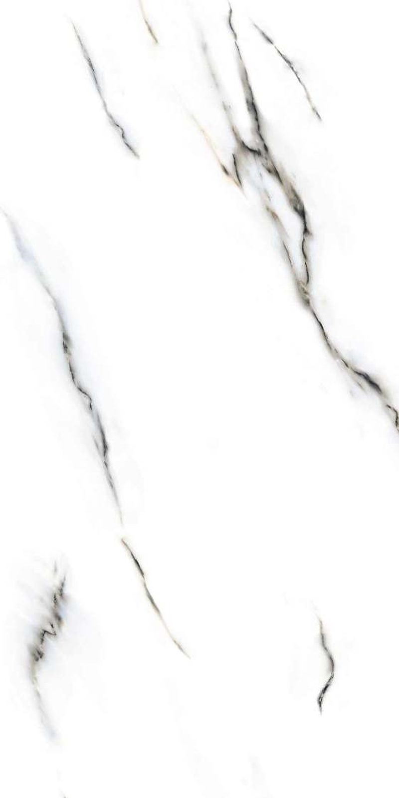 Zara White — Glossy finish, 600 x 1200 mm