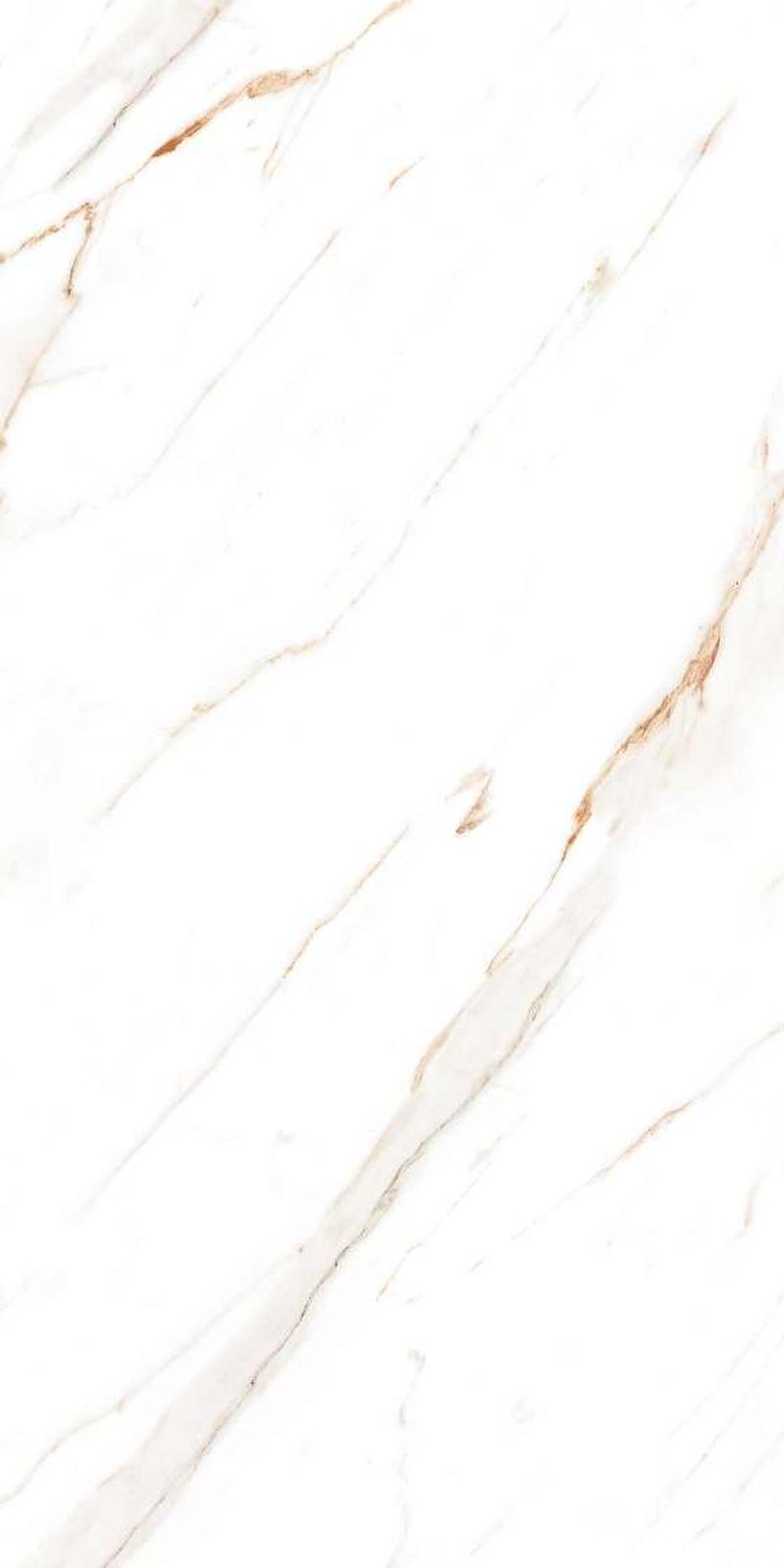 Zecol Brown — Glossy finish, 600 x 1200 mm
