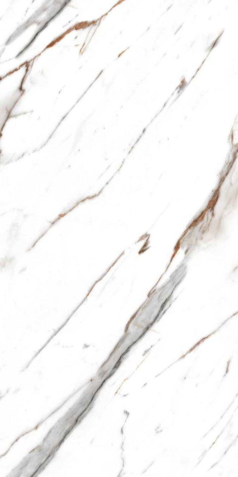 Zecol Statuario — Glossy finish, 600 x 1200 mm