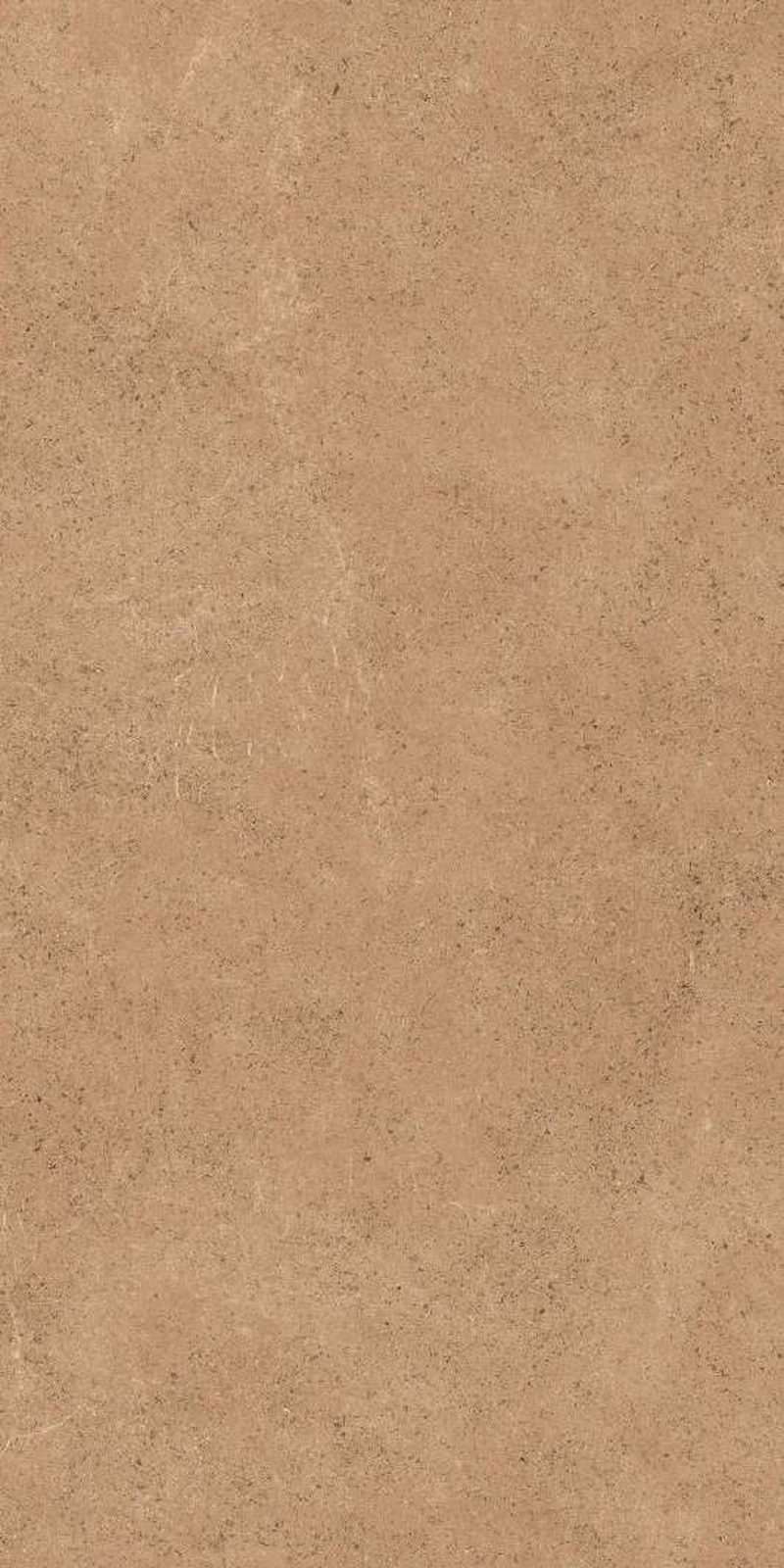 Forest Brown — Matt finish, 600 x 1200 mm