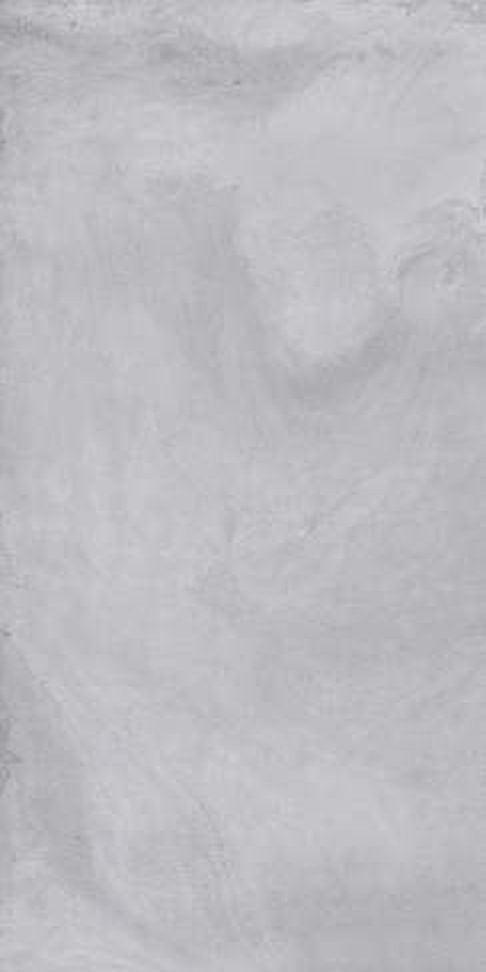 Arcadia Grey — Matt finish, 600 x 1200 mm