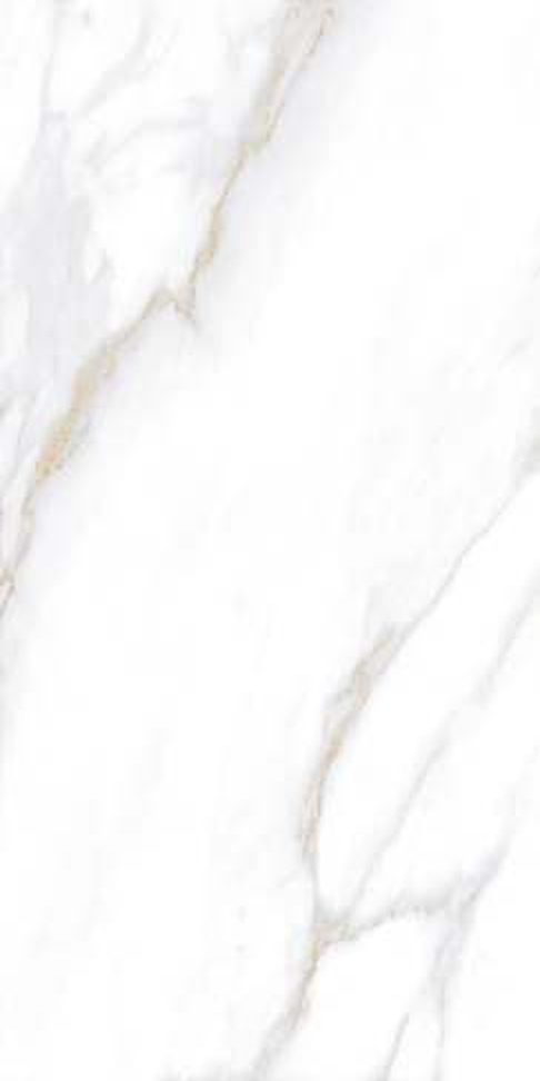 Binaka Grey — Matt finish, 600 x 1200 mm