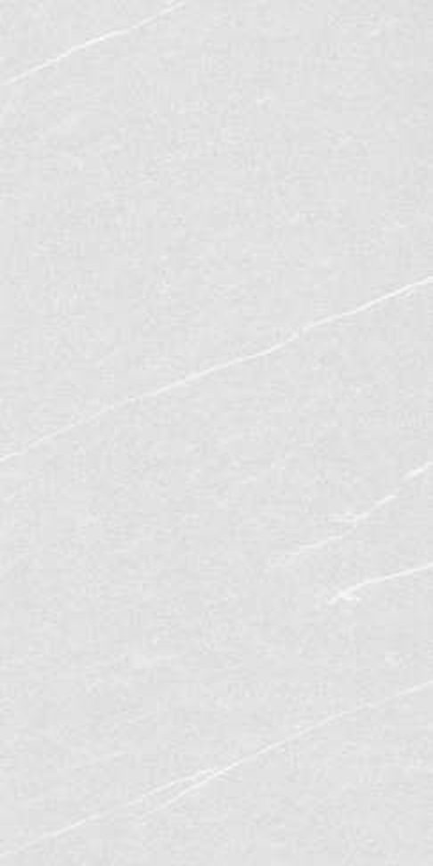 Caspian Bianco — Matt finish, 600 x 1200 mm