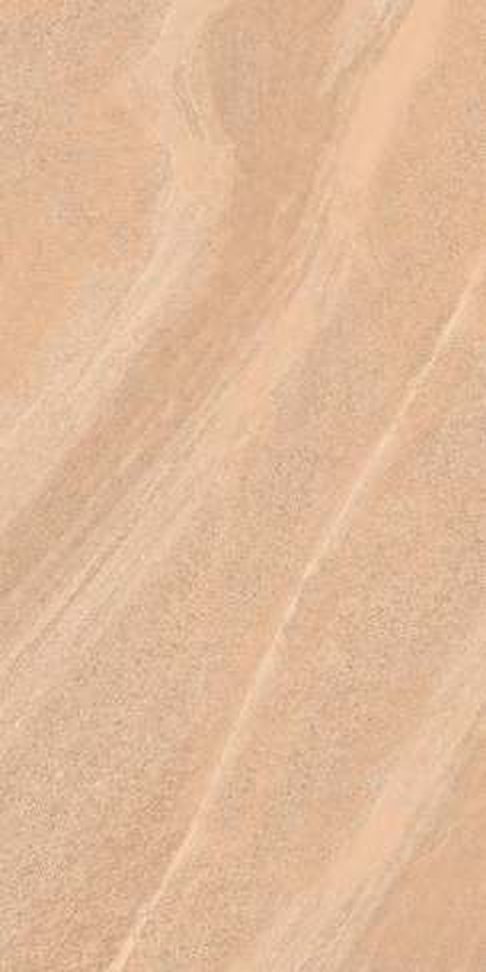 Desert Brown — Matt finish, 600 x 1200 mm
