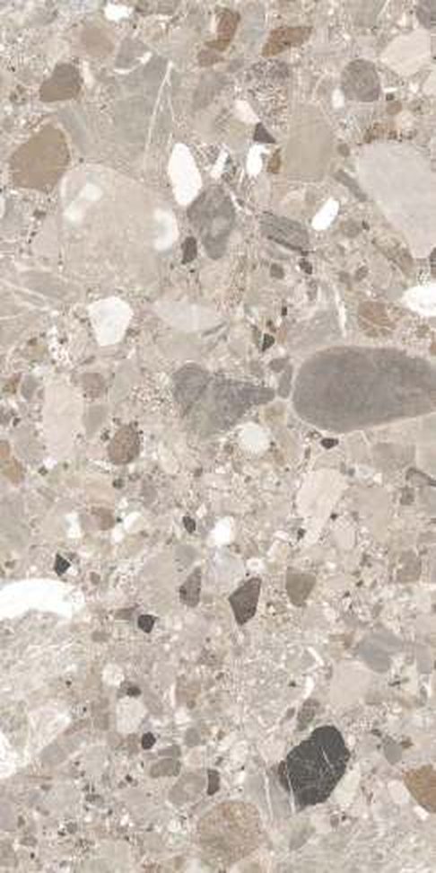 Lizard Dark — Matt finish, 600 x 1200 mm