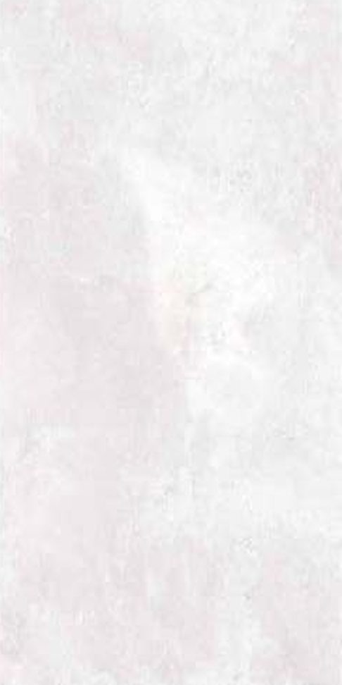 Luca White — Matt finish, 600 x 1200 mm