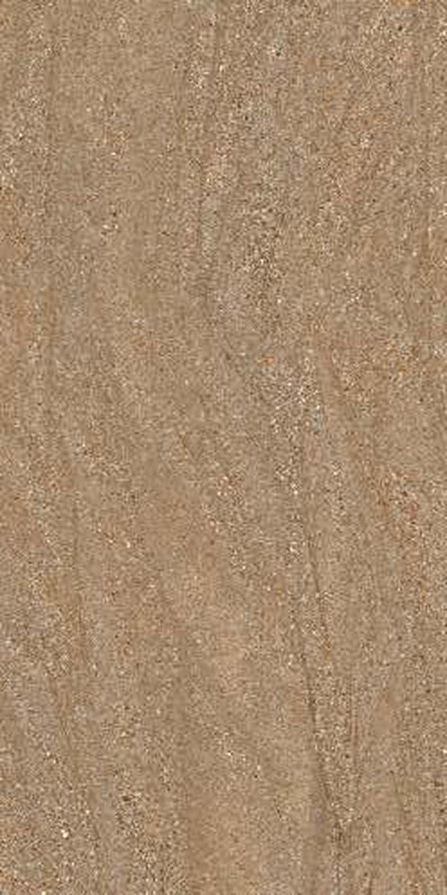 Verona Brown — Matt finish, 600 x 1200 mm