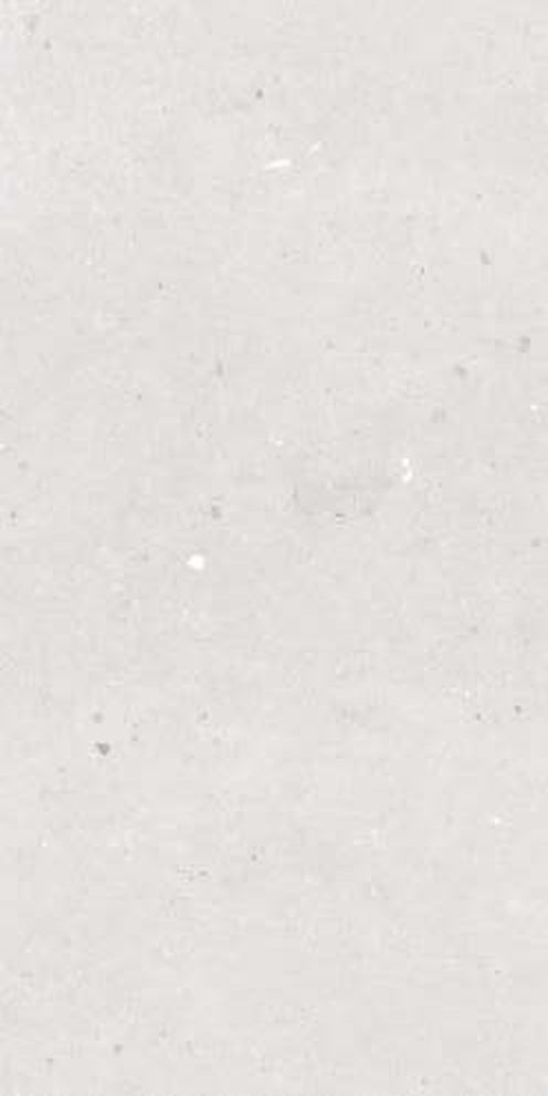 Zenith Bianco — Matt finish, 600 x 1200 mm