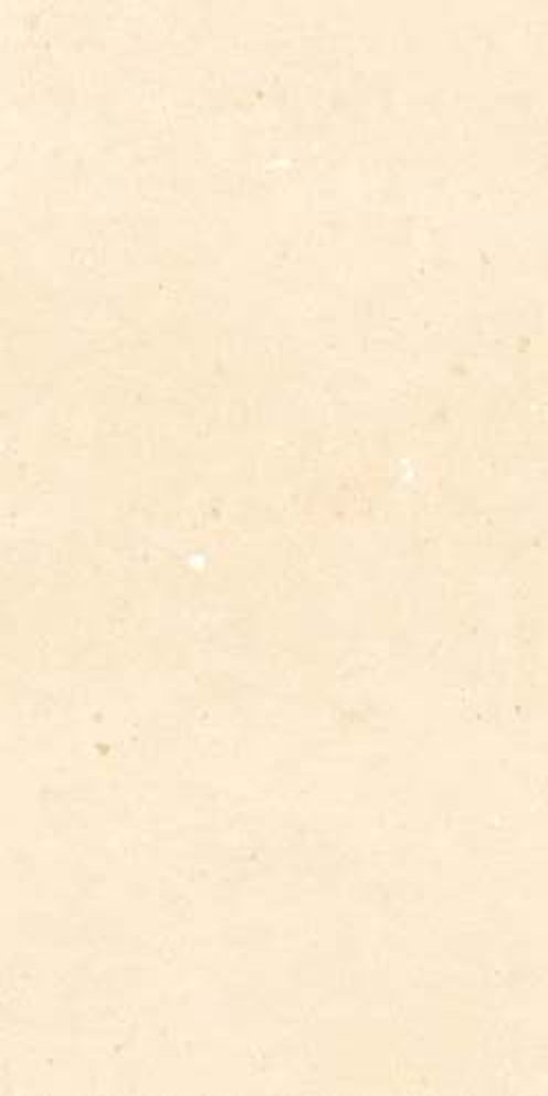 Zenith Ivory — Matt finish, 600 x 1200 mm